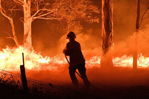 Australian Bush Fire Crisis